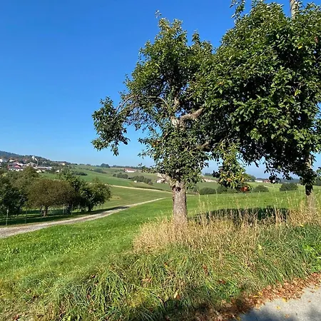 Ferienwohnung Elisa Apartamento Tiefenbach (Passau)